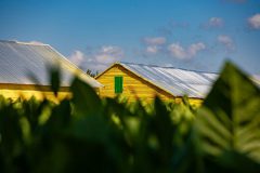 Tabaco-Enro-1-580x387