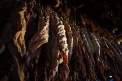 Tabaco-Enro-12-580x387