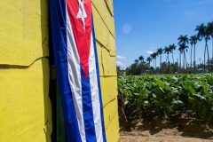 Tabaco-Enro-13-580x870