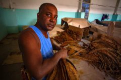 Tabaco-Enro-16-580x387