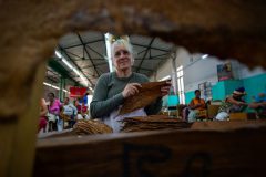 Tabaco-Enro-18-580x387