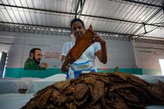 Tabaco-Enro-19-580x387