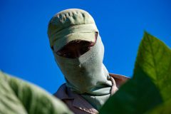 Tabaco-Enro-3-580x387