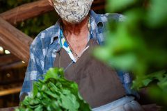 Tabaco-Enro-8-580x870