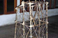 El-dulce-habito-de-discursar