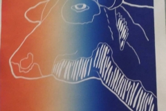 Rafael Zarza. Ubre blanca. F2-Holstein-Cebú